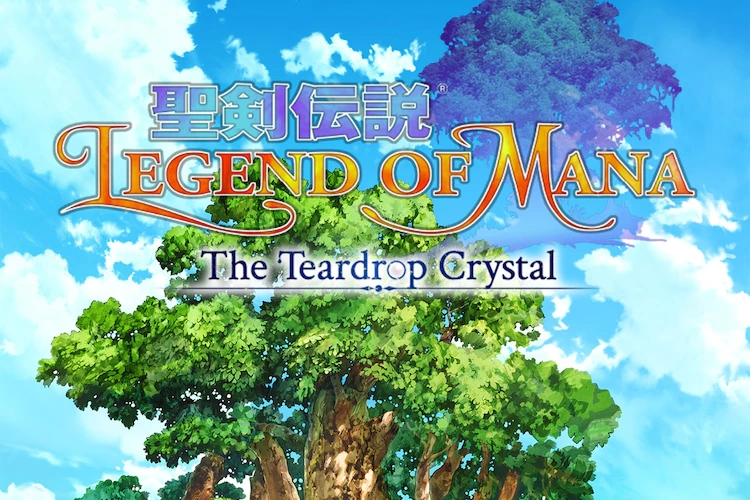 009fa3352228c0b6e473c4c8ea2e5e6b